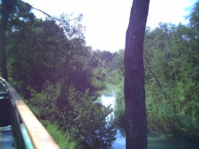 LOS BAÑOS DE ARCHENA