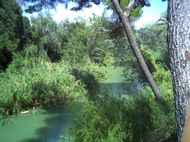 LOS BAÑOS DE ARCHENA