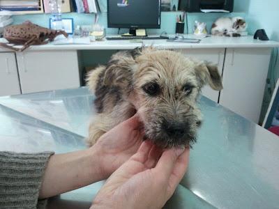 BETTY LA FEA. NADIE LA QUIERE PORQUE DICEN QUE ES FEA.