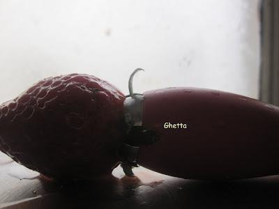 Saca cabitos de las frutillas