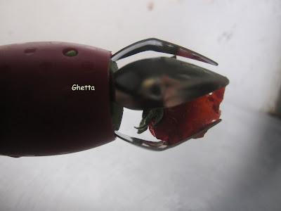 Saca cabitos de las frutillas