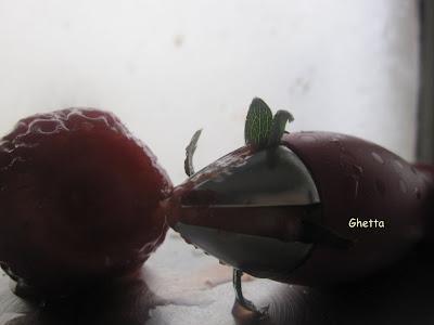 Saca cabitos de las frutillas