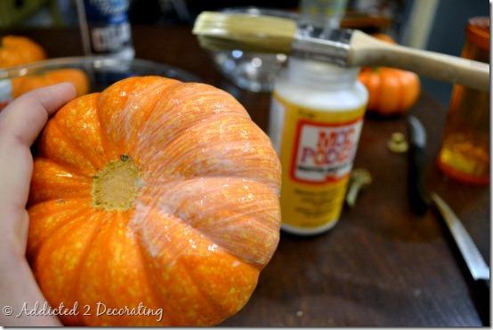 floreros miniatura de calabaza 10