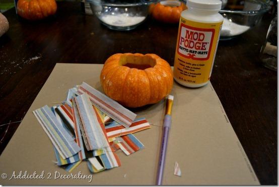 floreros miniatura de calabaza 5