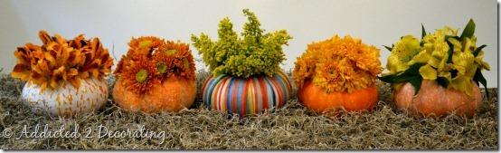 floreros miniatura de calabaza 2