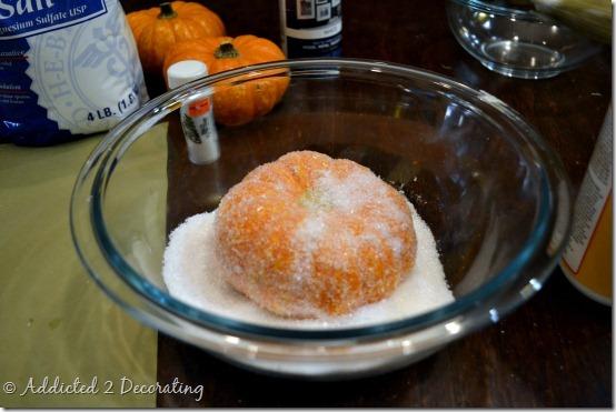 floreros miniatura de calabaza 11