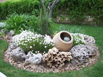 Elegir plantas para jardines de rocalla