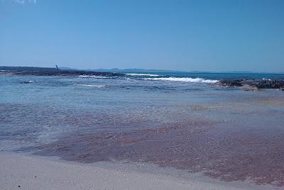 Formentera, un nuevo comienzo