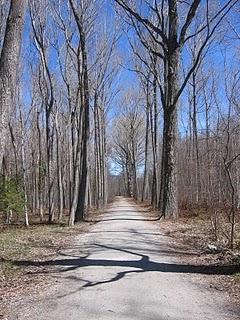 Mi reencuentro, una mañana de sábado, con Enrique de Mesa