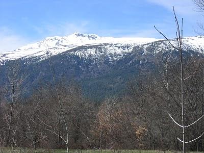 Mi reencuentro, una mañana de sábado, con Enrique de Mesa
