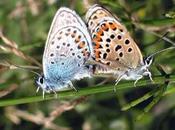 Doñana: naturaleza privilegiada