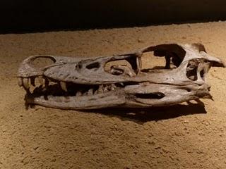 Un Tesoro en Alcobendas (III)