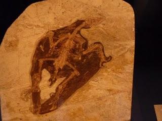 Un Tesoro en Alcobendas (III)