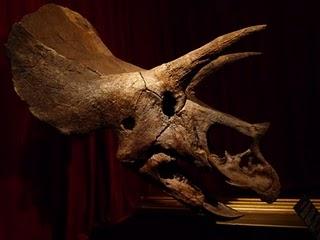 Un Tesoro en Alcobendas (III)