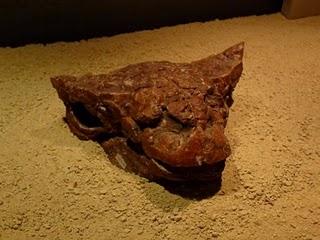 Un Tesoro en Alcobendas (III)