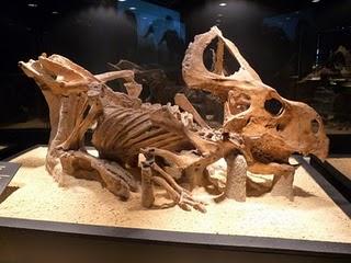 Un Tesoro en Alcobendas (III)