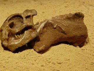 Un Tesoro en Alcobendas (III)