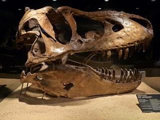 Un Tesoro en Alcobendas (III)