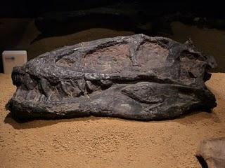 Un Tesoro en Alcobendas (III)