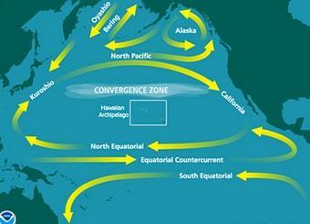 Marine Debris Poster (4) AI9