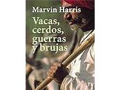 guerras provocadas conductas controlables racionales