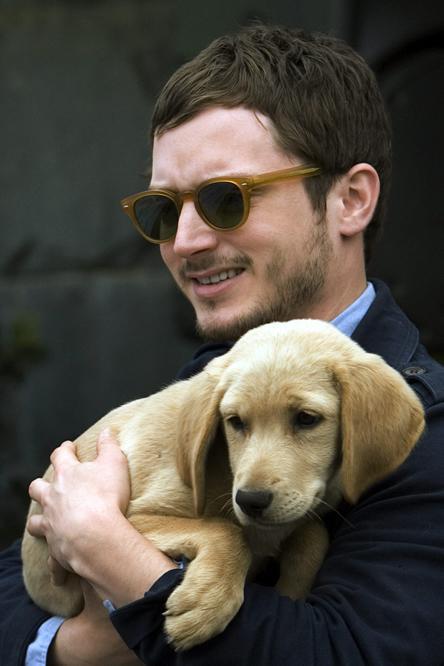 Frodo se solidariza con los animales de Chile