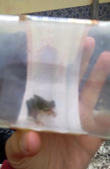 BESANDO A MI PROPIO PRÍNCIPE...