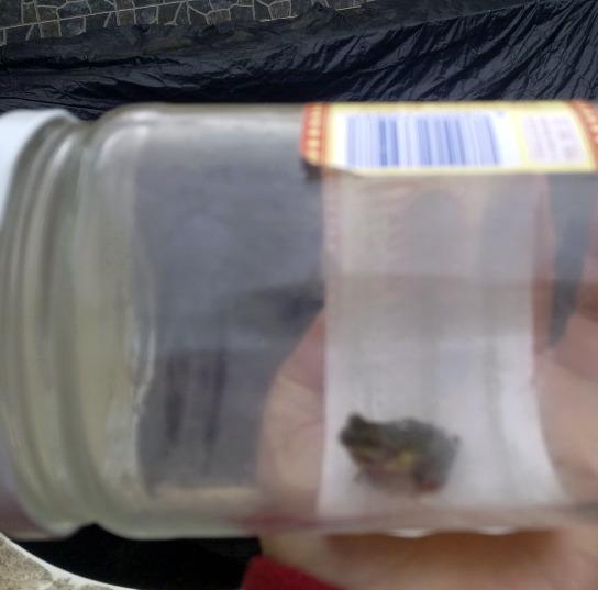 BESANDO A MI PROPIO PRÍNCIPE...