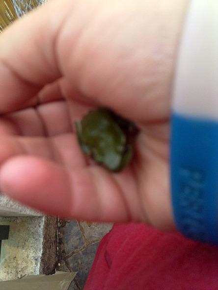 BESANDO A MI PROPIO PRÍNCIPE...