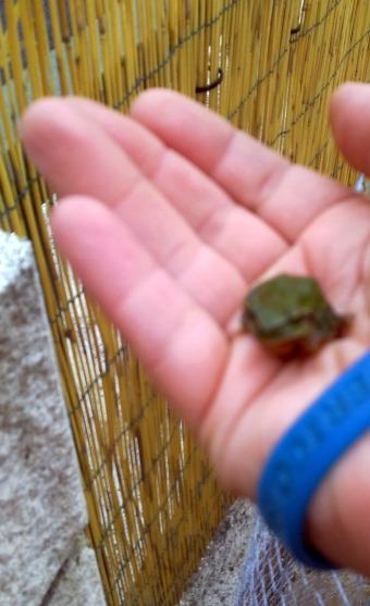 BESANDO A MI PROPIO PRÍNCIPE...