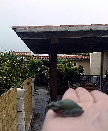 BESANDO A MI PROPIO PRÍNCIPE...