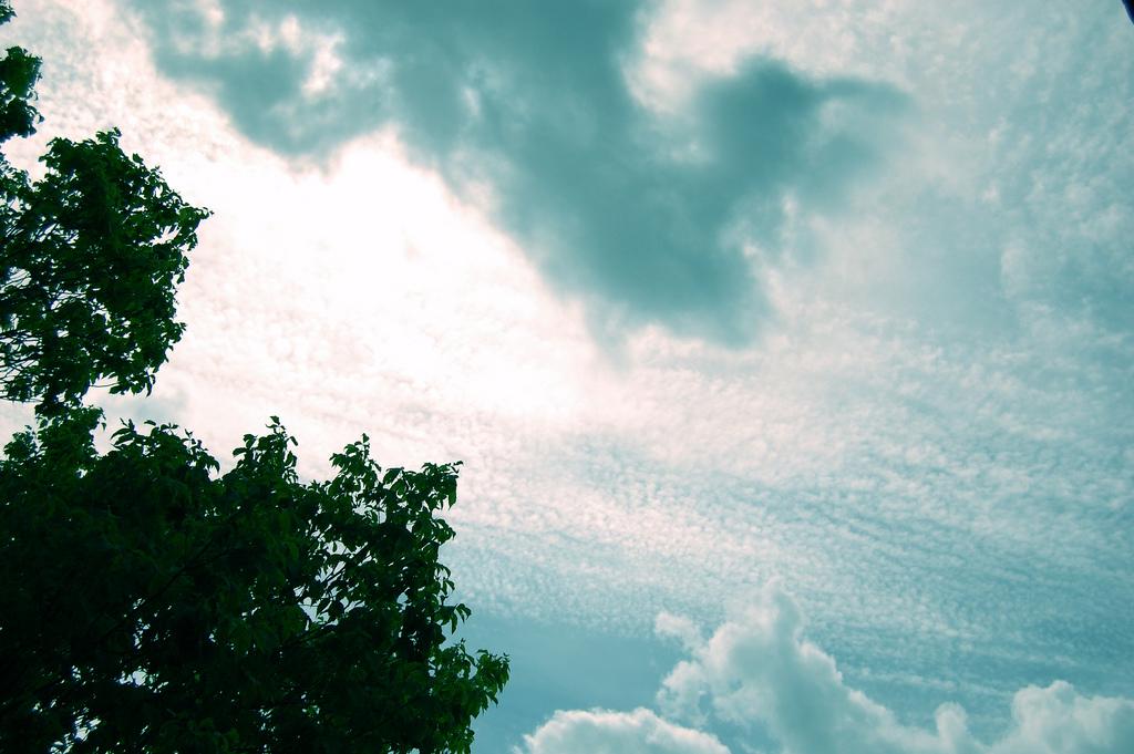 Les Paradis Artificiels