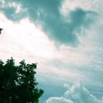 lescover Les Paradis Artificiels