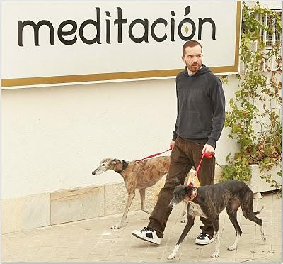 MARIANO ALAMEDA - Galgos