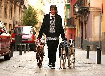 NATALIA MORENO - Galgos