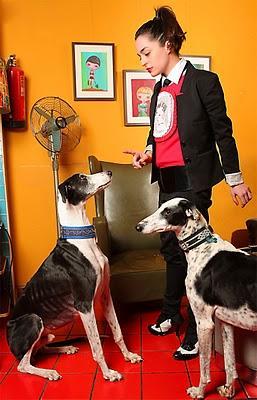 NATALIA MORENO - Galgos