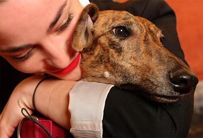 NATALIA MORENO - Galgos