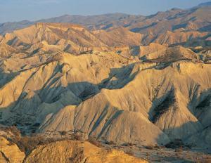 EL AVANCE DEL DESIERTO.