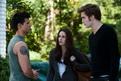 GRAN MARATÓN LA SAGA CREPÚSCULO