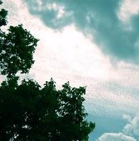 Les Paradis Artificiels Portada del DISCO