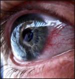 Las 50 mentiras más repetidas (Reflexión para el fin de semana)