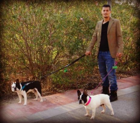 FRENCH BULLDOG CASUAL STYLE