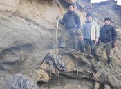 Encuentran mamut casi intacto 30.000 años antigüedad