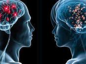 Algunos cerebros femeninos pueden tener material genético masculino