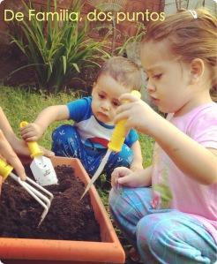 Preparando la tierra