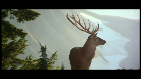The deer hunter - Cimino ( I )