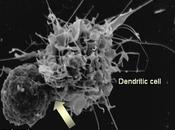 ratones hombres: Cómo empezó curarse MIASTENIA GRAVIS.