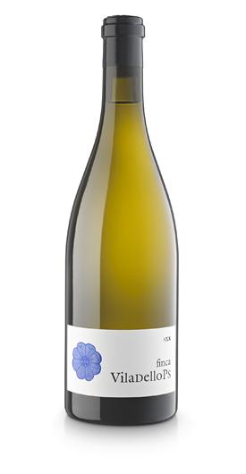 VISITA A LA FINCA VILADELLOPS. VINOS DEL MASSÍS DEL GARRAF. (II)