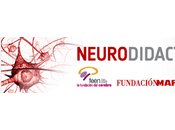 Nace Neurodidacta.es