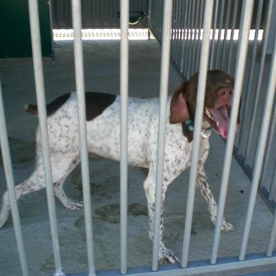 Dulce, su nombre lo dice todo